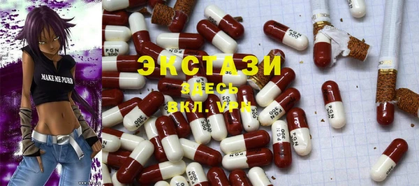 СК Алексин