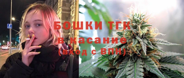 СК Алексин