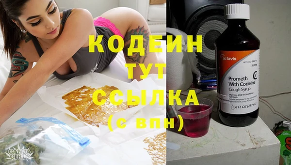 эйфоретик Алзамай